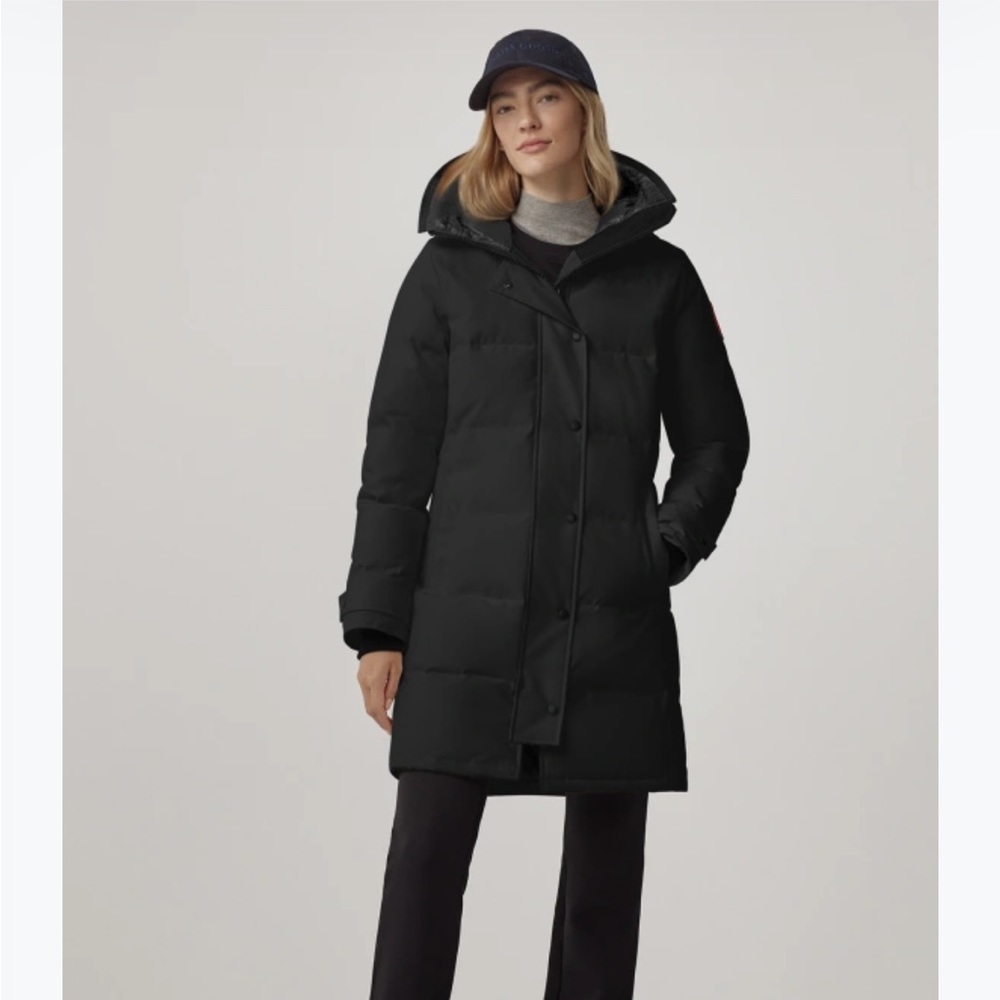 Canada goose
